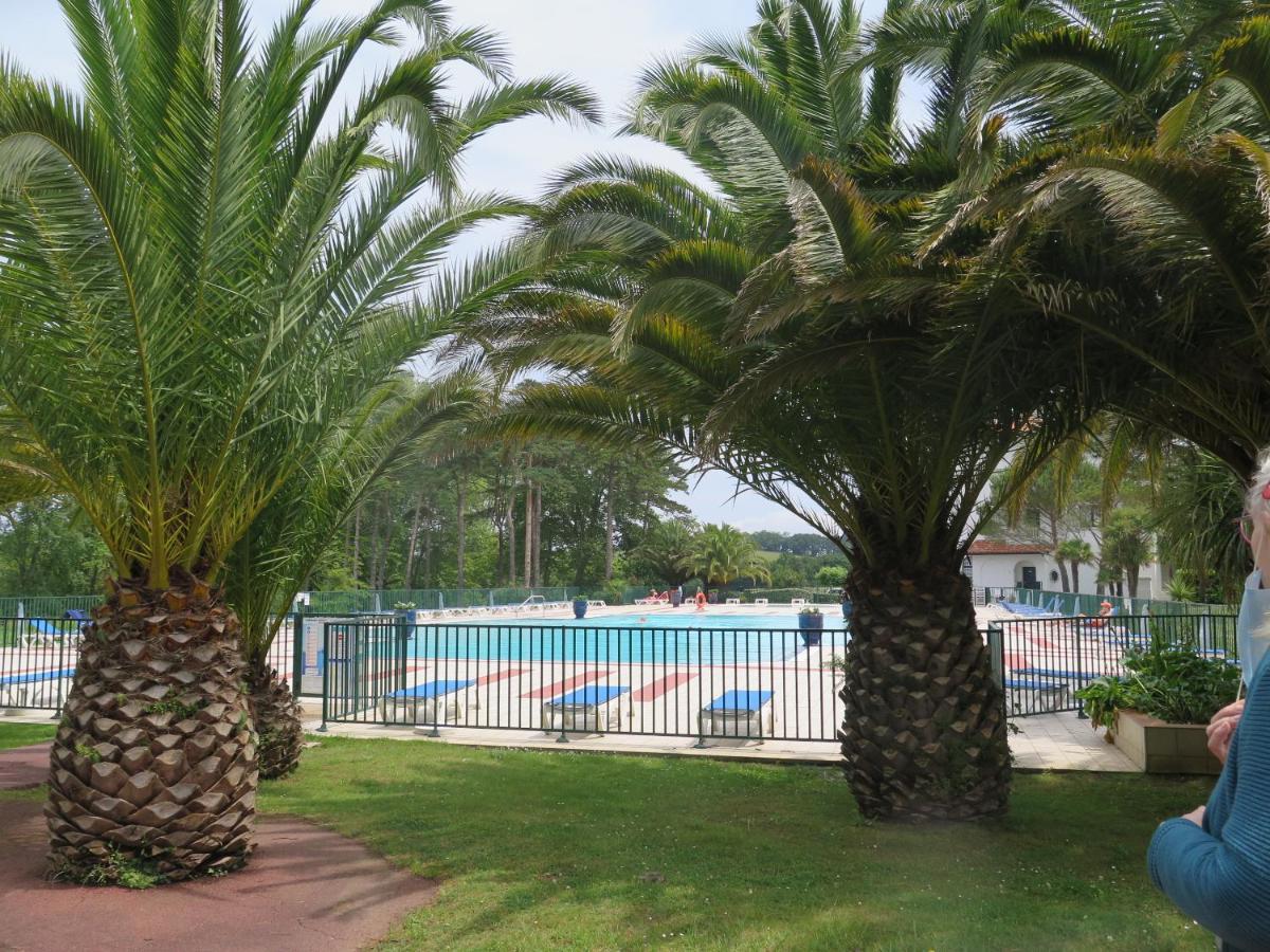 Lasaitasuna Urruñan T2 terrasse et piscine Urrugne Extérieur photo